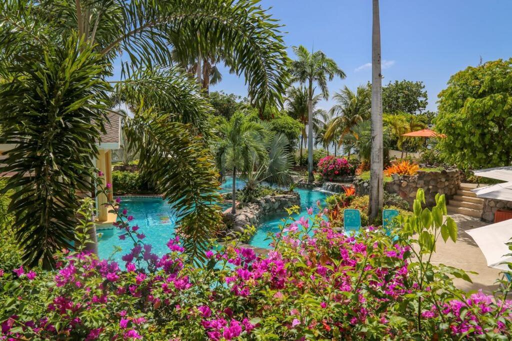 Ocean Terrace Inn Hotel バセテール エクステリア 写真